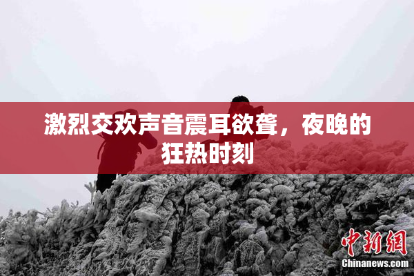 激烈交欢声音震耳欲聋，夜晚的狂热时刻