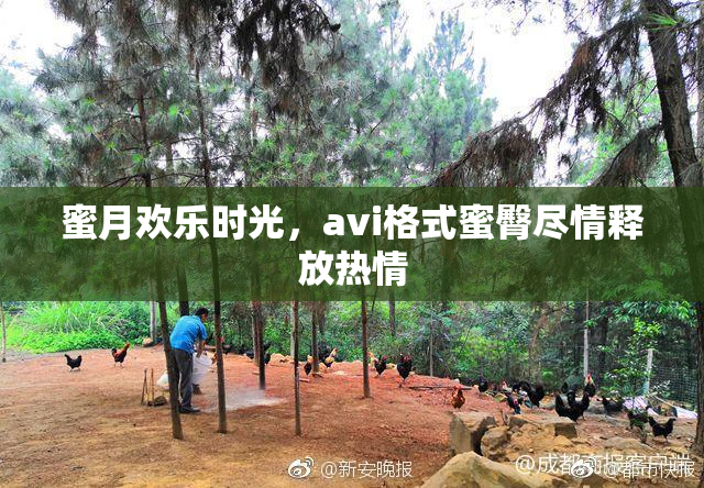 蜜月欢乐时光，avi格式蜜臀尽情释放热情