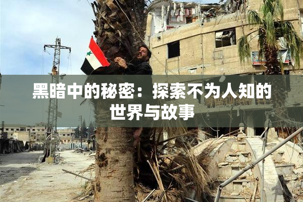 黑暗中的秘密：探索不为人知的世界与故事