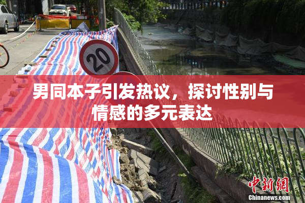 男同本子引发热议，探讨性别与情感的多元表达