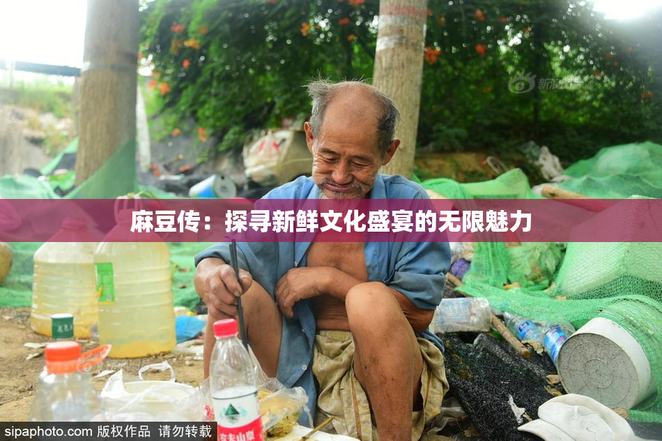 麻豆传：探寻新鲜文化盛宴的无限魅力