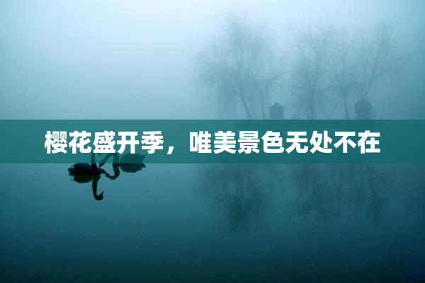 樱花盛开季，唯美景色无处不在