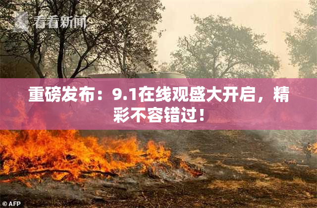 重磅发布：9.1在线观盛大开启，精彩不容错过！