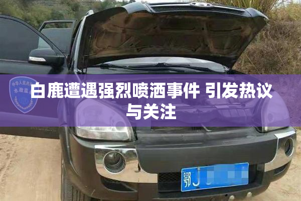 白鹿遭遇强烈喷洒事件 引发热议与关注
