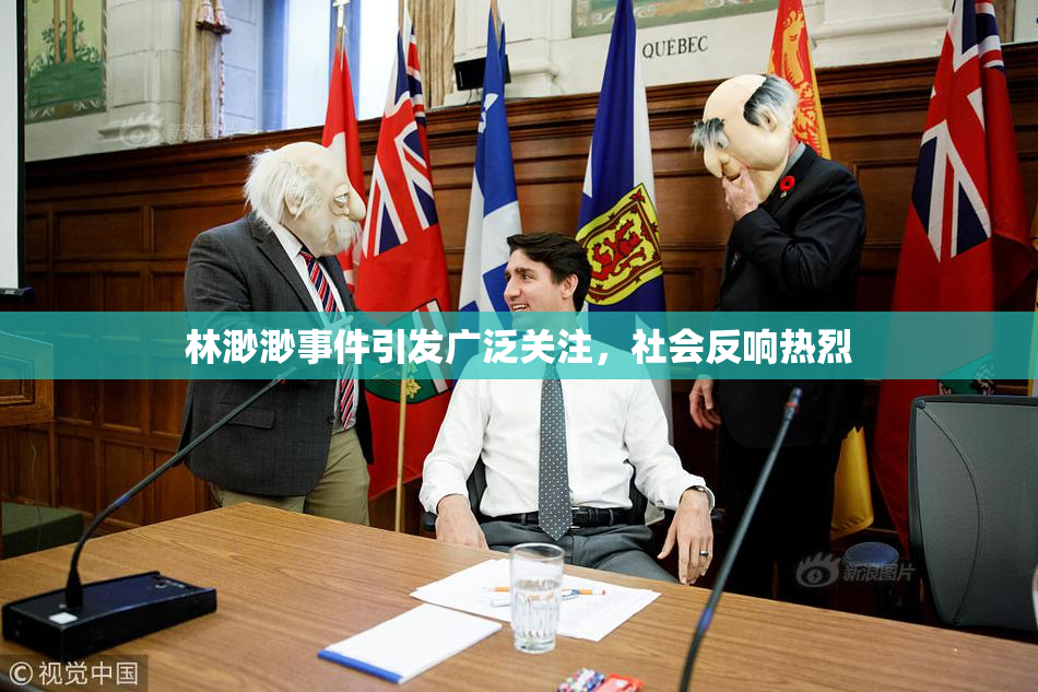 林渺渺事件引发广泛关注，社会反响热烈
