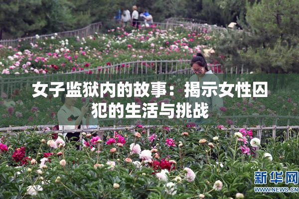女子监狱内的故事：揭示女性囚犯的生活与挑战