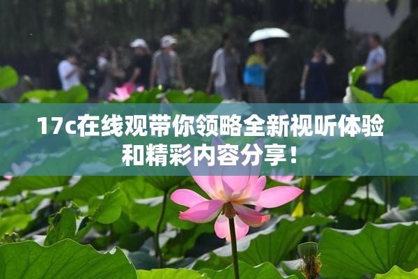 17c在线观带你领略全新视听体验和精彩内容分享！