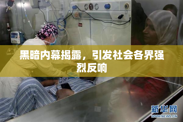 黑暗内幕揭露，引发社会各界强烈反响