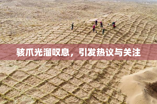 骇爪光溜叹息，引发热议与关注