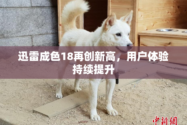 迅雷成色18再创新高，用户体验持续提升