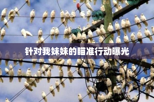针对我妹妹的瞄准行动曝光