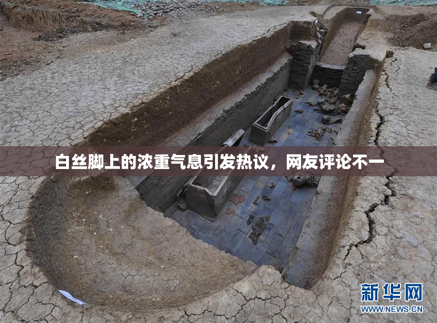 白丝脚上的浓重气息引发热议，网友评论不一