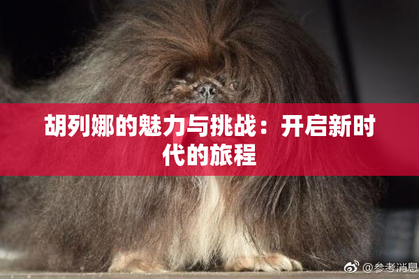 胡列娜的魅力与挑战：开启新时代的旅程