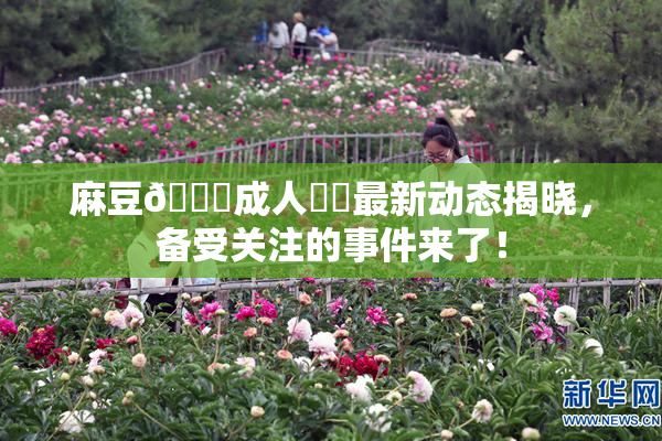 麻豆🔞成人❌‌最新动态揭晓，备受关注的事件来了！
