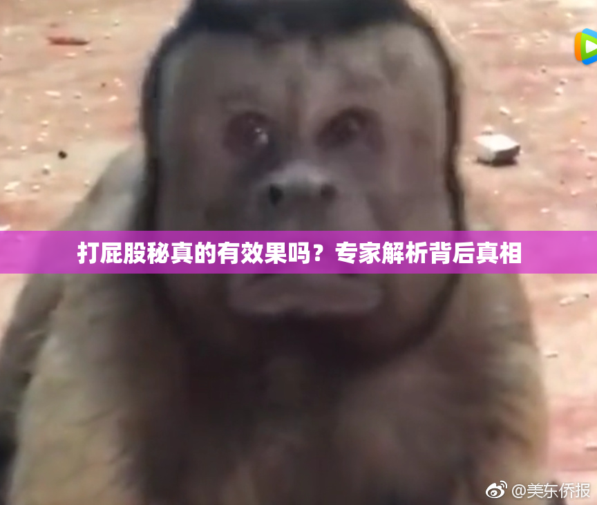 打屁股秘真的有效果吗？专家解析背后真相