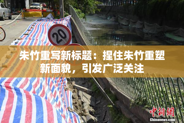 朱竹重写新标题：捏住朱竹重塑新面貌，引发广泛关注