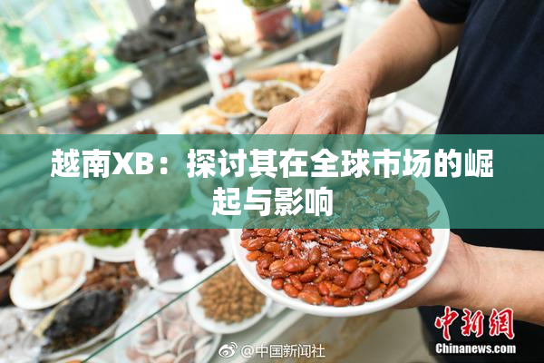 越南XB：探讨其在全球市场的崛起与影响