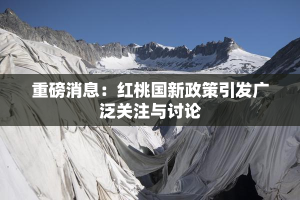 重磅消息：红桃国新政策引发广泛关注与讨论