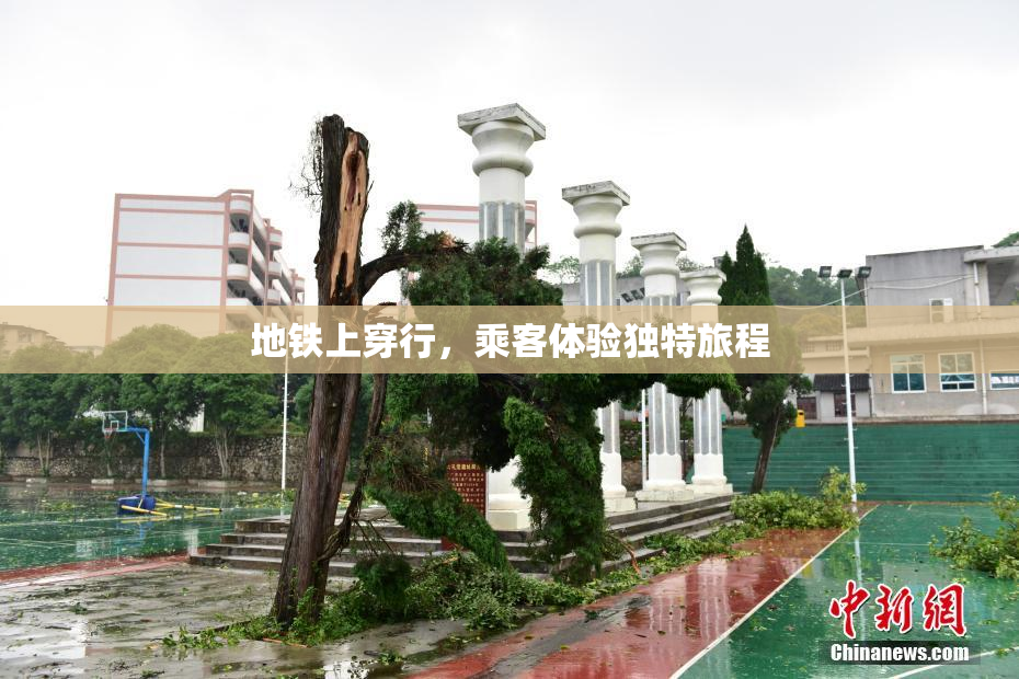 地铁上穿行，乘客体验独特旅程