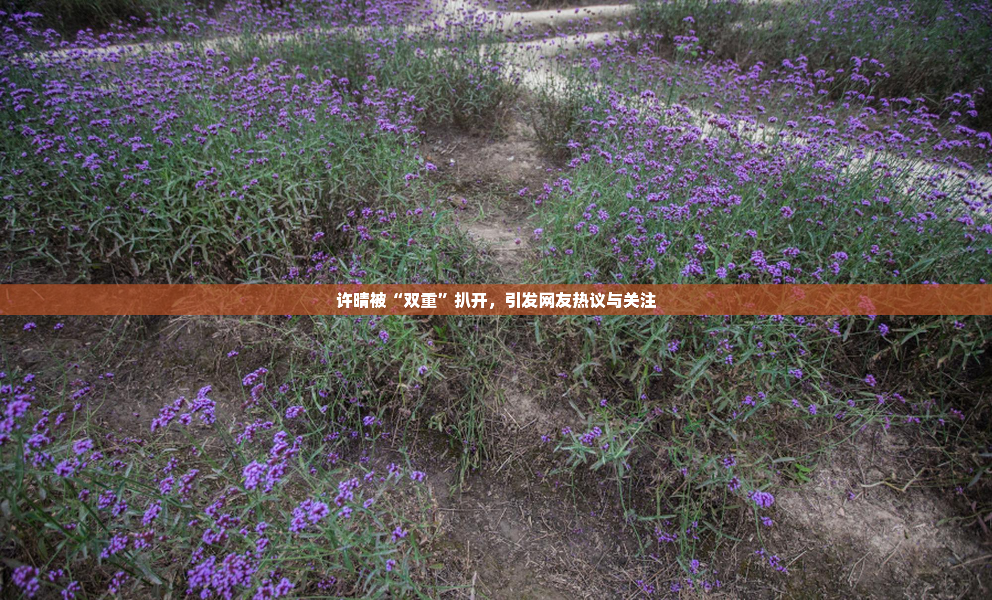 许晴被“双重”扒开，引发网友热议与关注