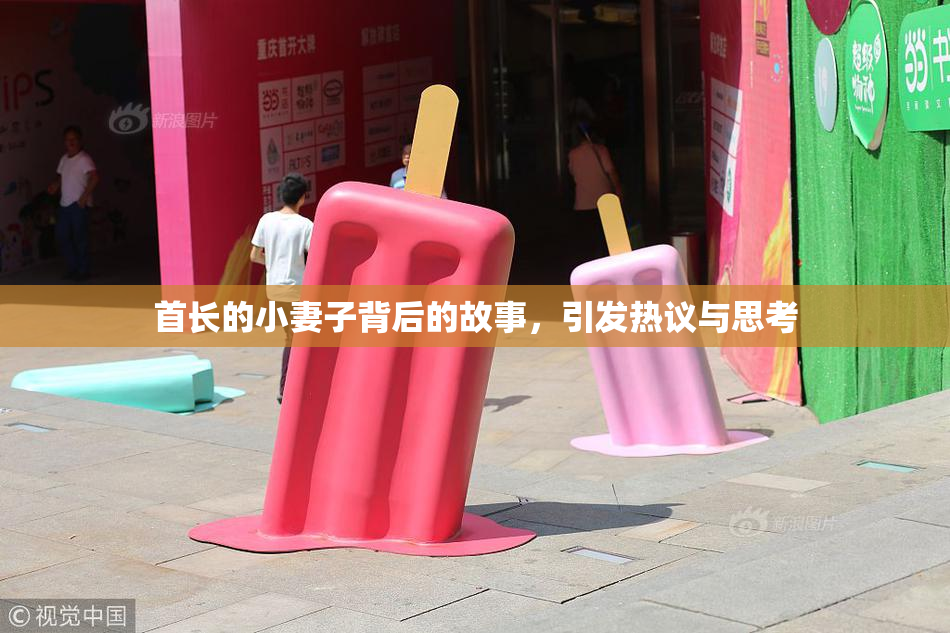 首长的小妻子背后的故事，引发热议与思考