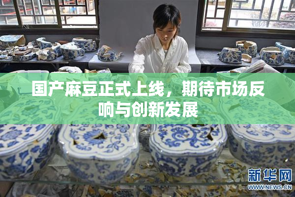 国产麻豆正式上线，期待市场反响与创新发展