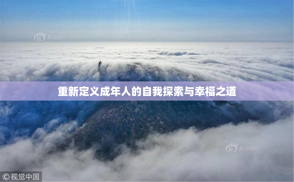 重新定义成年人的自我探索与幸福之道