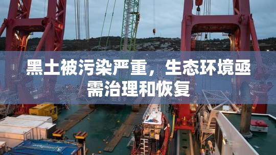 黑土被污染严重，生态环境亟需治理和恢复