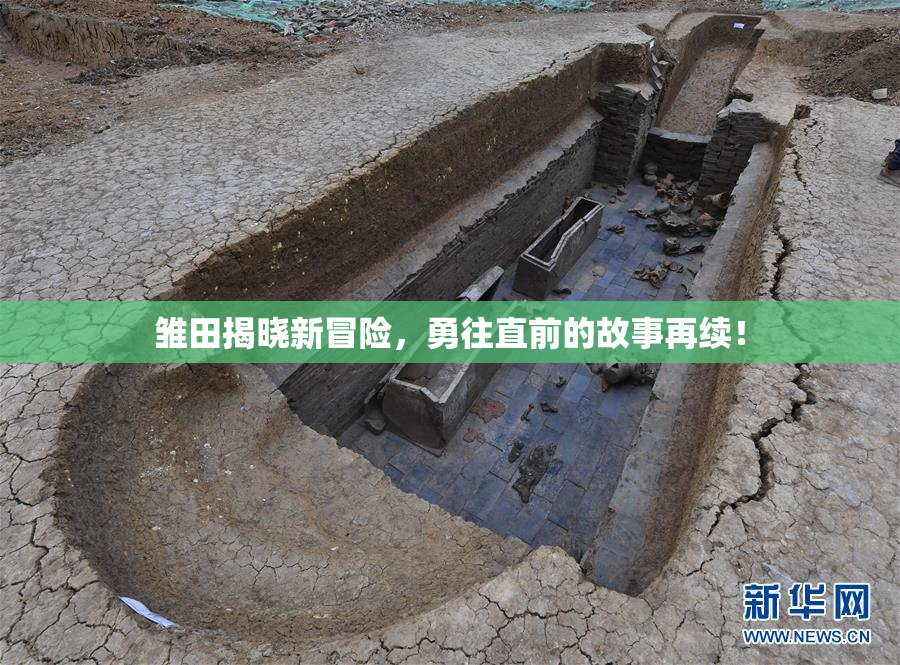 雏田揭晓新冒险，勇往直前的故事再续！