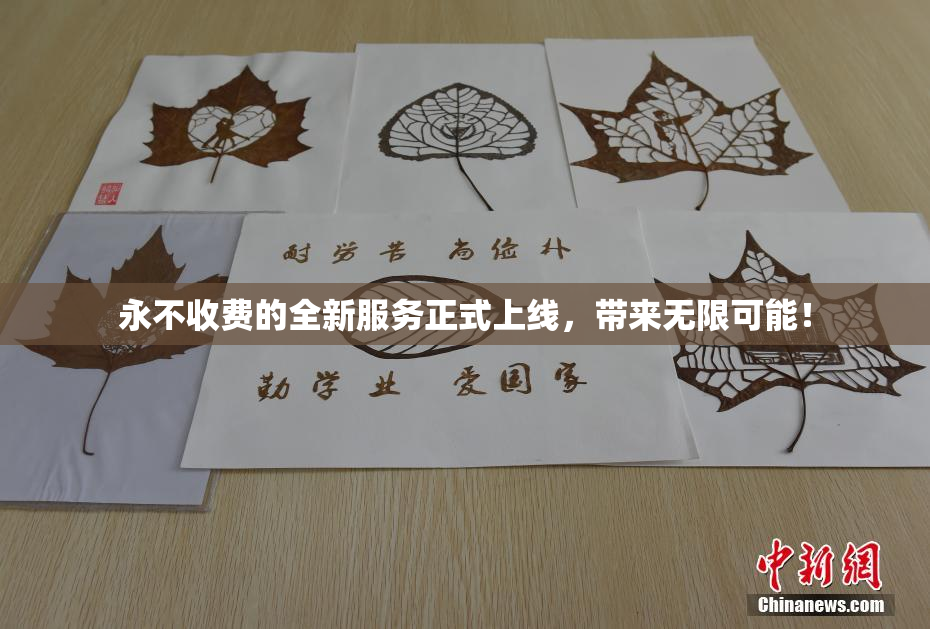 永不收费的全新服务正式上线，带来无限可能！