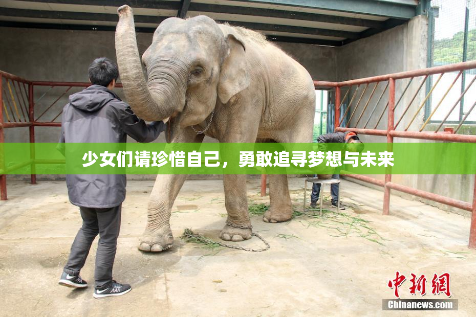 少女们请珍惜自己，勇敢追寻梦想与未来