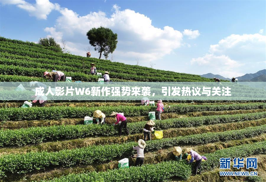 成人影片W6新作强势来袭，引发热议与关注