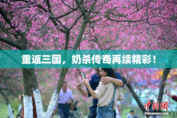 重返三国，奶杀传奇再续精彩！