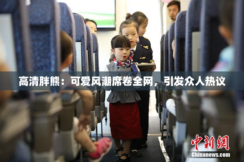 高清胖熊：可爱风潮席卷全网，引发众人热议
