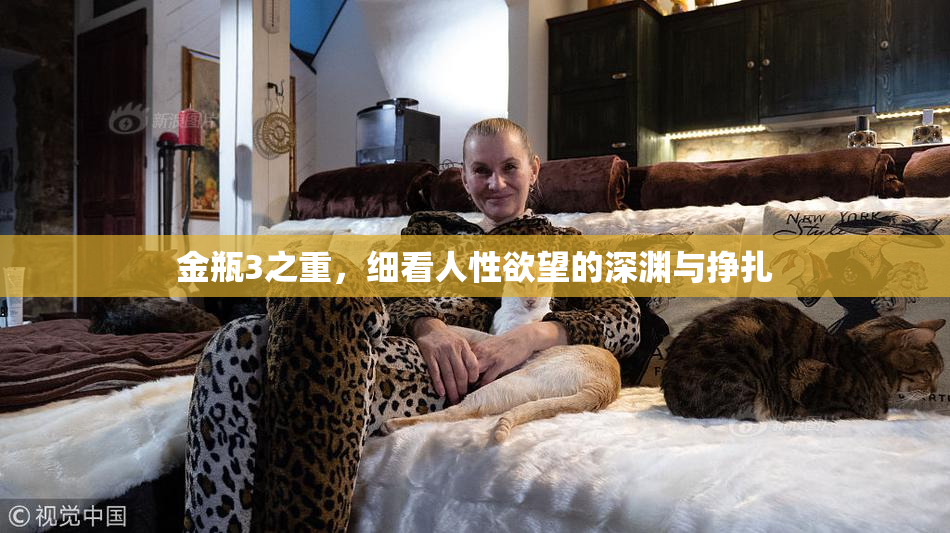 金瓶3之重，细看人性欲望的深渊与挣扎