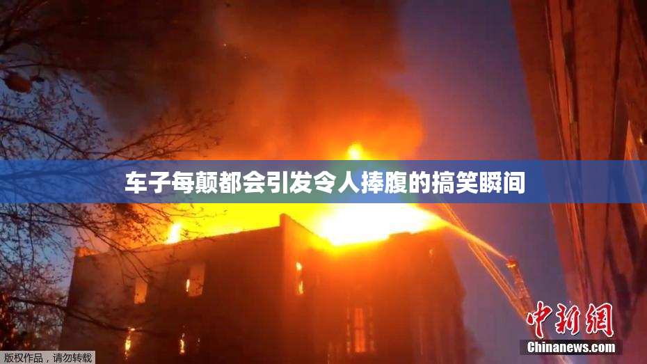 车子每颠都会引发令人捧腹的搞笑瞬间