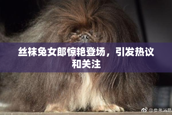 丝袜兔女郎惊艳登场，引发热议和关注