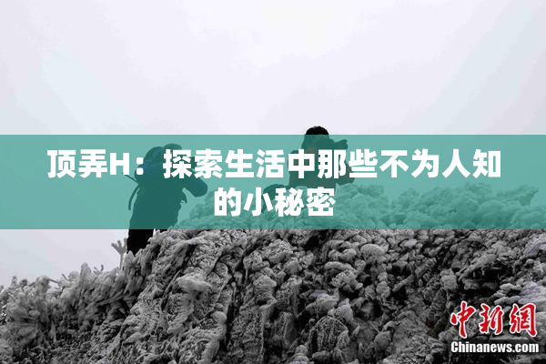 顶弄H：探索生活中那些不为人知的小秘密