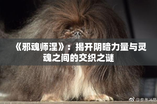 《邪魂师涅》：揭开阴暗力量与灵魂之间的交织之谜