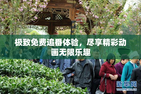 极致免费追番体验，尽享精彩动画无限乐趣