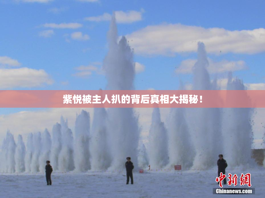 紫悦被主人扒的背后真相大揭秘！