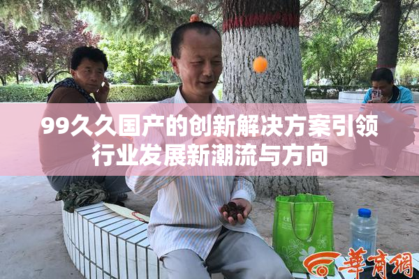 99久久国产的创新解决方案引领行业发展新潮流与方向