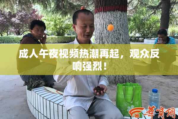 成人午夜视频热潮再起，观众反响强烈！