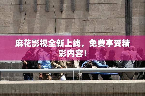 麻花影视全新上线，免费享受精彩内容！