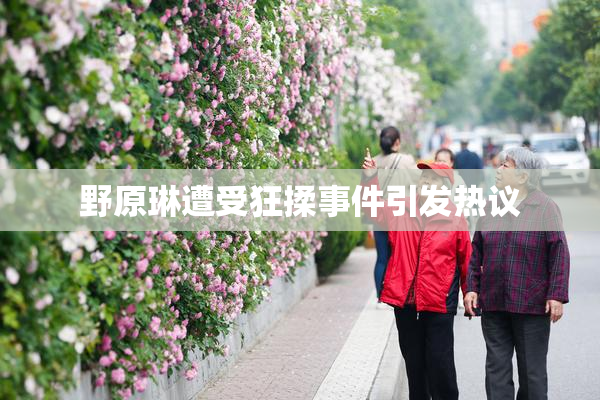 野原琳遭受狂揉事件引发热议