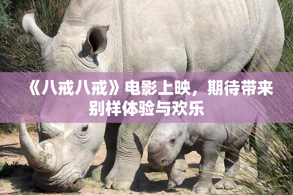 《八戒八戒》电影上映，期待带来别样体验与欢乐