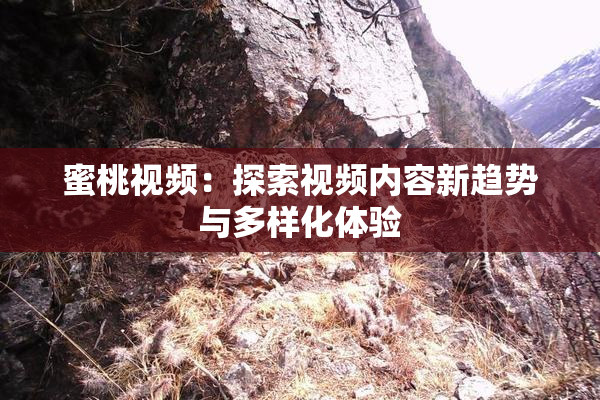 蜜桃视频：探索视频内容新趋势与多样化体验