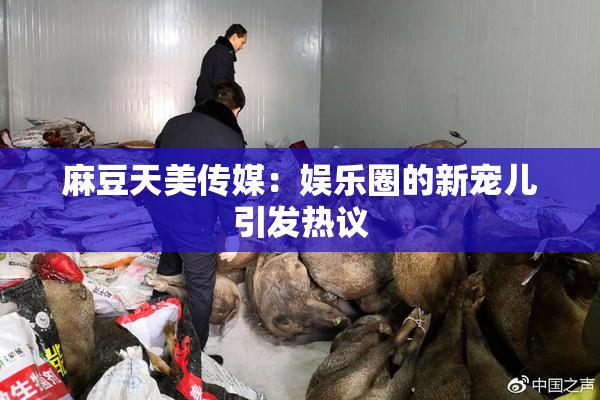 麻豆天美传媒：娱乐圈的新宠儿引发热议