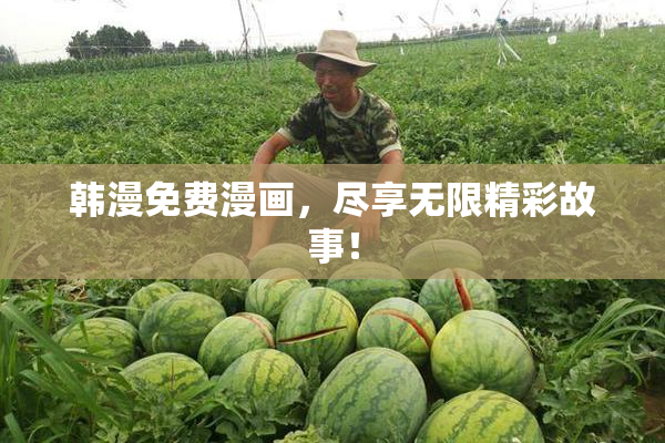 韩漫免费漫画，尽享无限精彩故事！