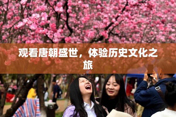 观看唐朝盛世，体验历史文化之旅